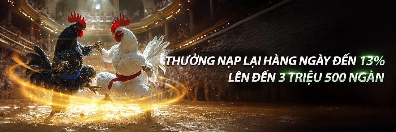 Hình ảnh sân vận động thể thao với logo hm88u và người hâm mộ